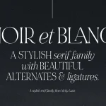 Noir et Blanc font fragment