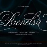 Brenelsa font fragment