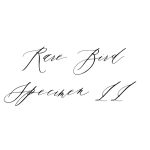 Rare Bird Specimen II font fragment